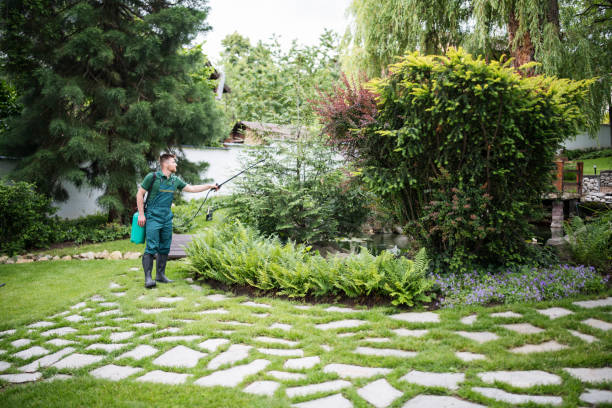 Best Wildlife Control Services  in Cut Off, LA