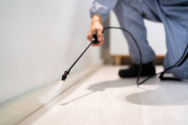 Best Affordable Pest Control Services  in Cut Off, LA