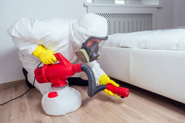  Cut Off, LA Pest Control Pros