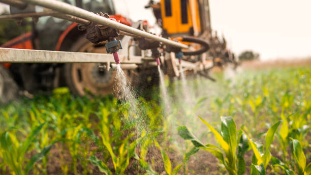 Reliable Cut Off, LA Pest Control Solutions